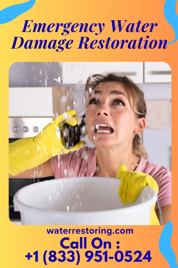 Emergency Water Damage Restoration in Sloan, NY