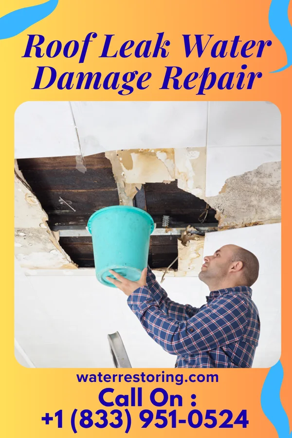 Roof Leak Water Damage Repair in Sloan, NY