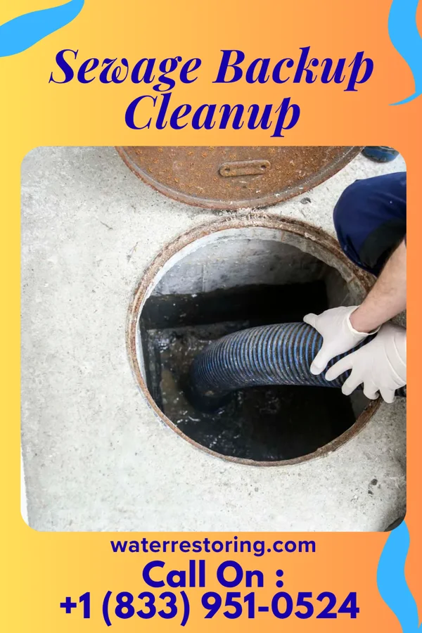 Sewage Backup Cleanup in Sloan, NY